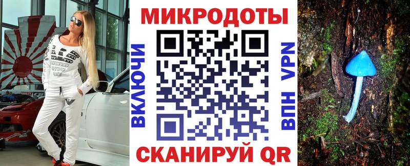 Псилоцибиновые грибы GOLDEN TEACHER  купить закладку  Верхний Тагил 